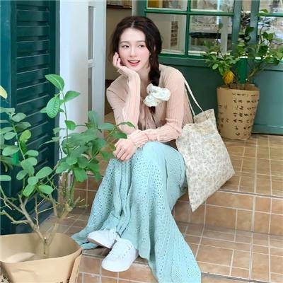 完美革命